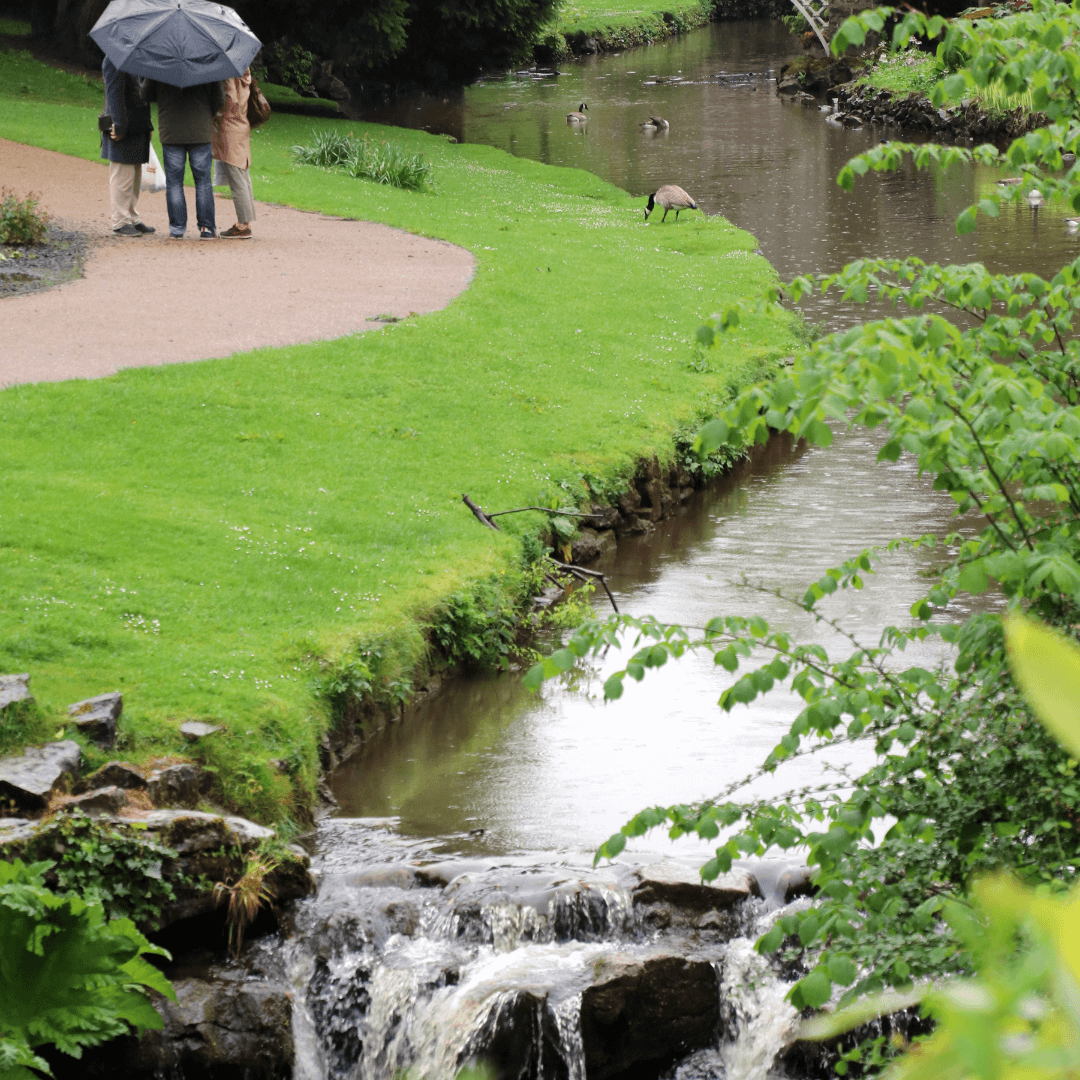 Buxton Pavilion Gardens with swans and ducks