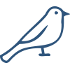 bird icon