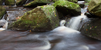 Padley Gorge